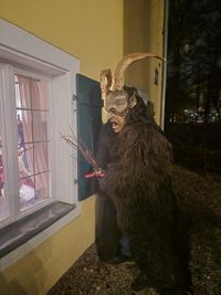 Der Boar - Hubert als Krampus am Fenster Einkehrbrauch