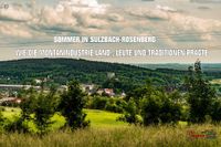 Sommer in Sulzbach-Rosenberg der Boar